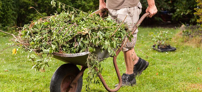 Garden Waste Skip Hire